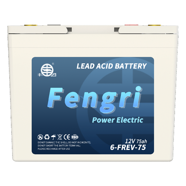 6-FREV-75 Motive power battery