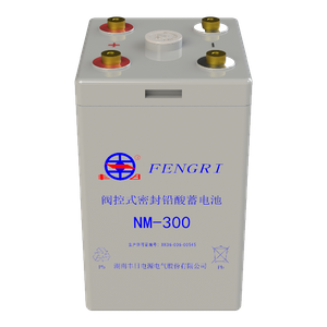 NM-300 Lead acid railway battery 