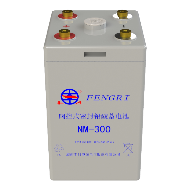 NM-300 Lead acid railway battery 