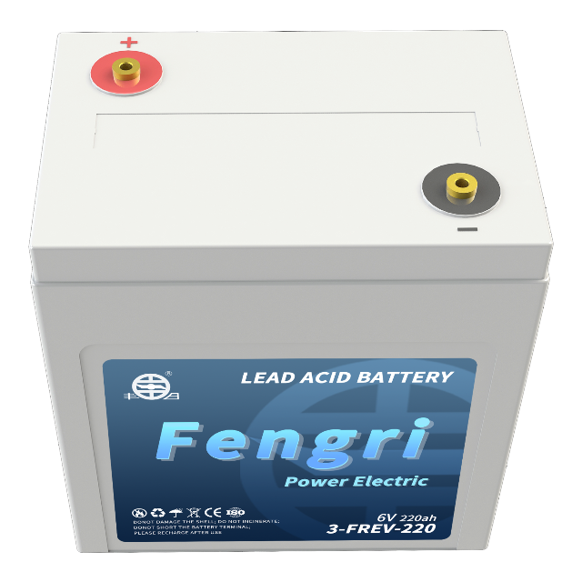 3-FREV-220 Motive power battery