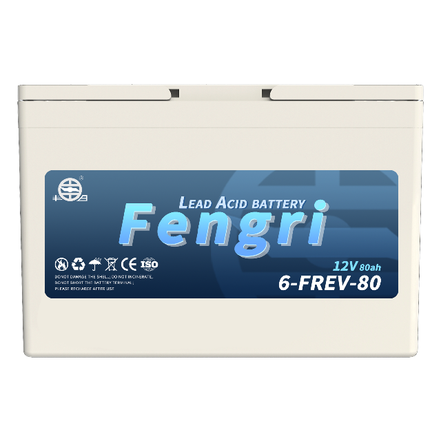 6-FREV-80 Motive power battery