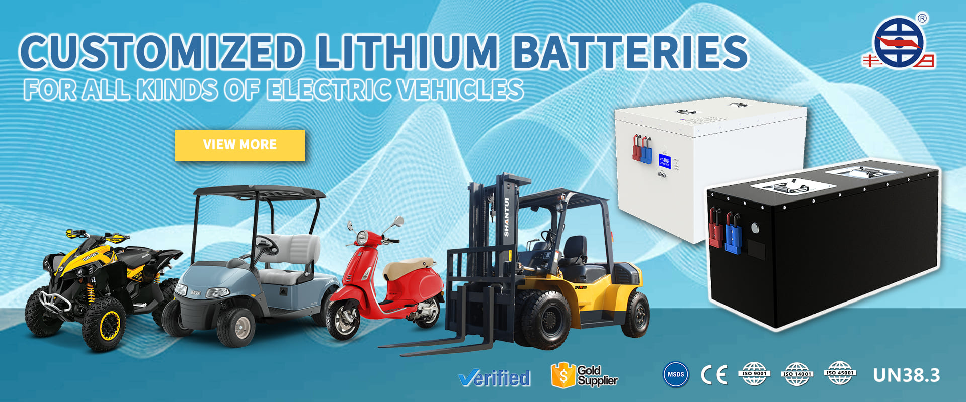 Customized lithium battery