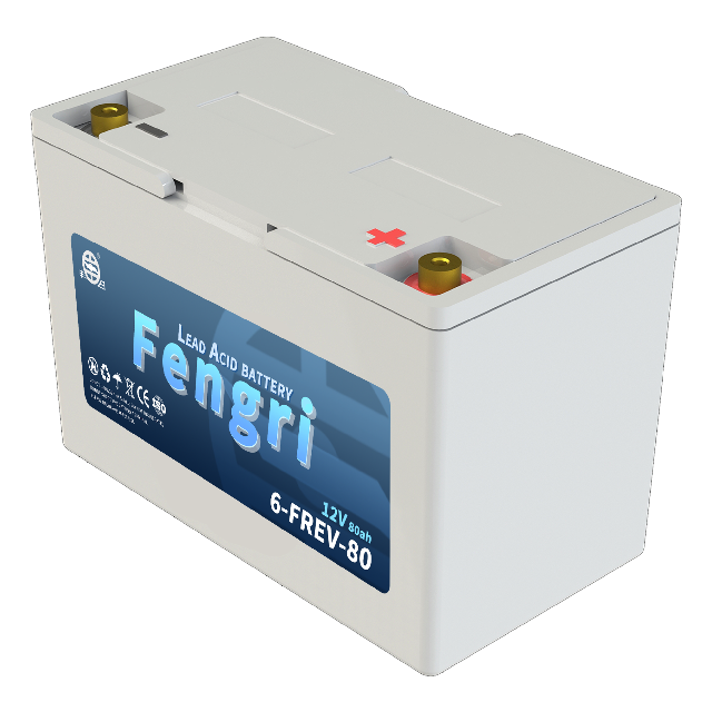 6-FREV-80 Motive power battery