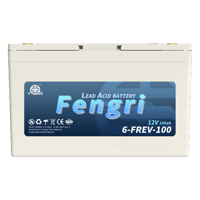 6-FREV-100 Motive power battery