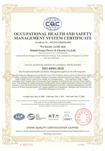 2023 Occupational Health and Safety Management System Certificate