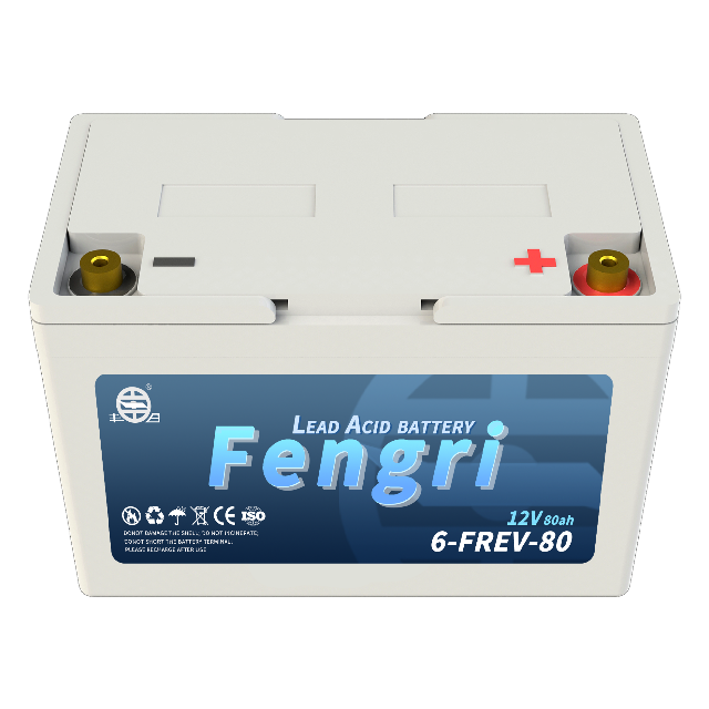 6-FREV-80 Motive power battery