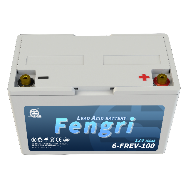 6-FREV-100 Motive power battery