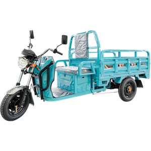 Falcon Series Electric Cargo Tricycle with Long Range