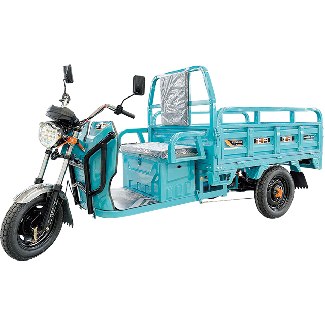 Falcon Series Electric Cargo Tricycle with Long Range