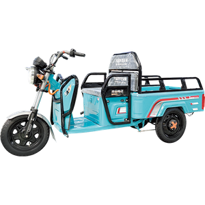 Small Flat Type Electric Cargo Tricycle with Cheap Price