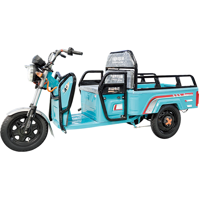 Small Flat Type Electric Cargo Tricycle with Cheap Price