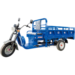 Fengxing Series Electric Cargo Tricycle with Large Load Capacity