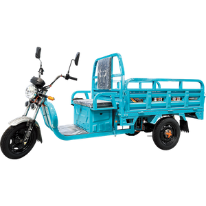 Dragon Series Flat Type Electric Cargo Tricycle with Cheap Price