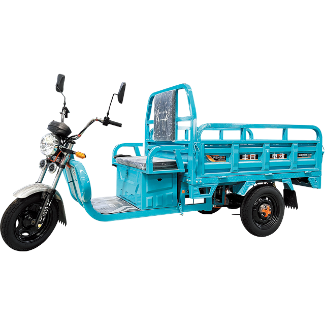 Dragon Series Flat Type Electric Cargo Tricycle with Cheap Price