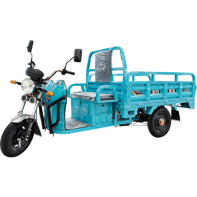 Legend Series Electric Cargo Tricycle with Long Range