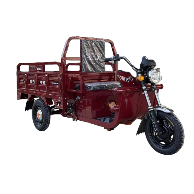 Dragon Series Electric Cargo Tricycle with Strong Power