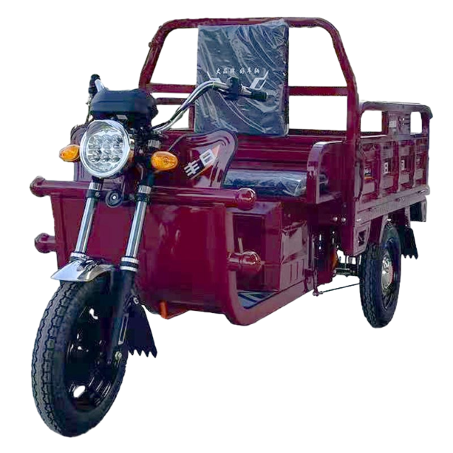 Dragon Series Electric Cargo Tricycle with Strong Power