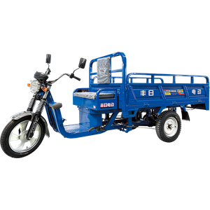 Fengyun Series Electric Cargo Tricycle with Large Load Capacity