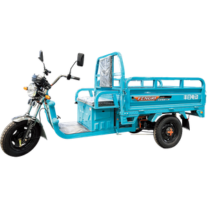 Dragon Series Electric Cargo Tricycle with Strong Power